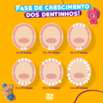 As etapas de crescimento dos dentinhos dos nossos baixinhos