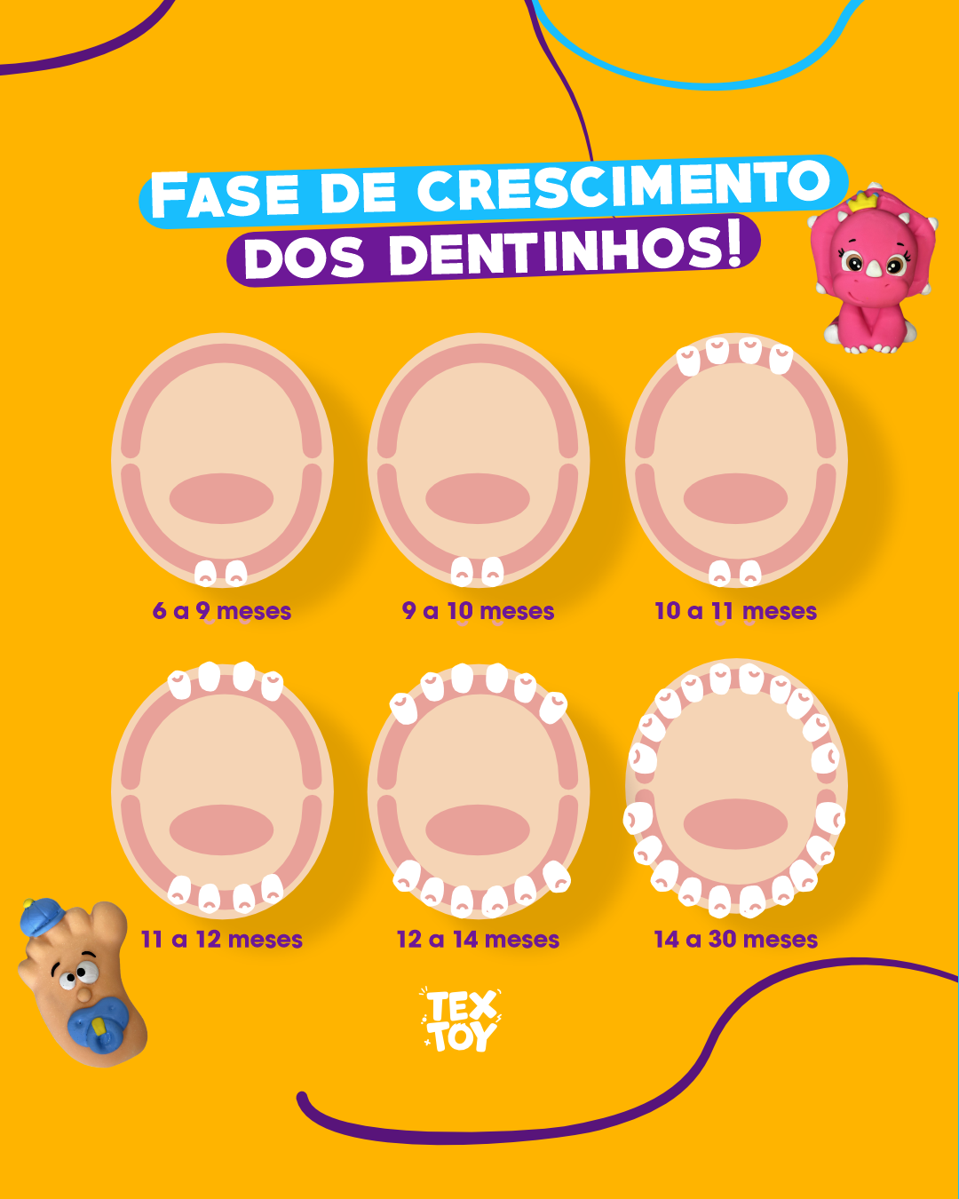 As etapas de crescimento dos dentinhos dos nossos baixinhos
